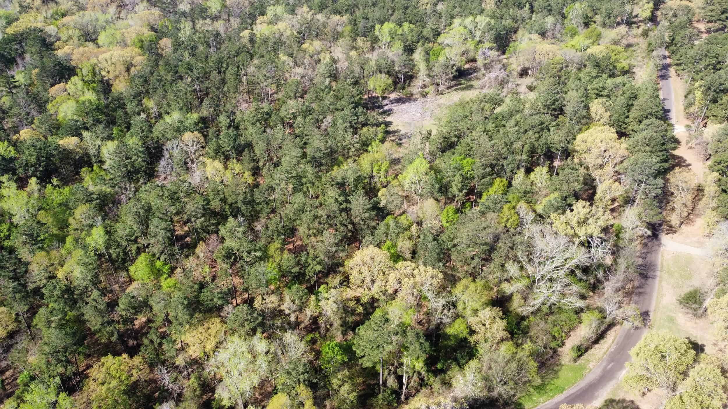 East Texas rural land for sale in Smith County