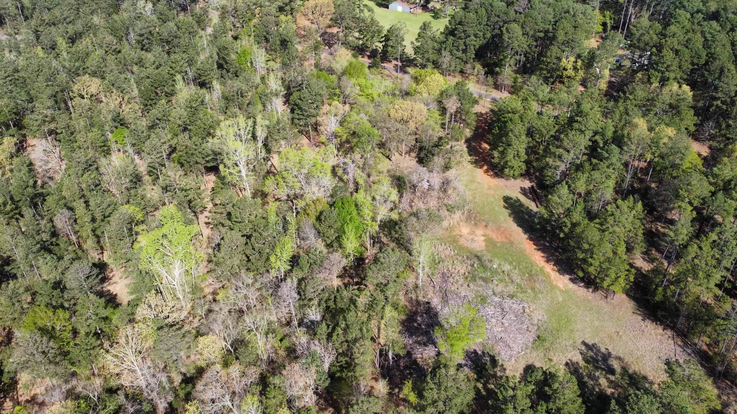 East Texas rural land for sale in Smith County