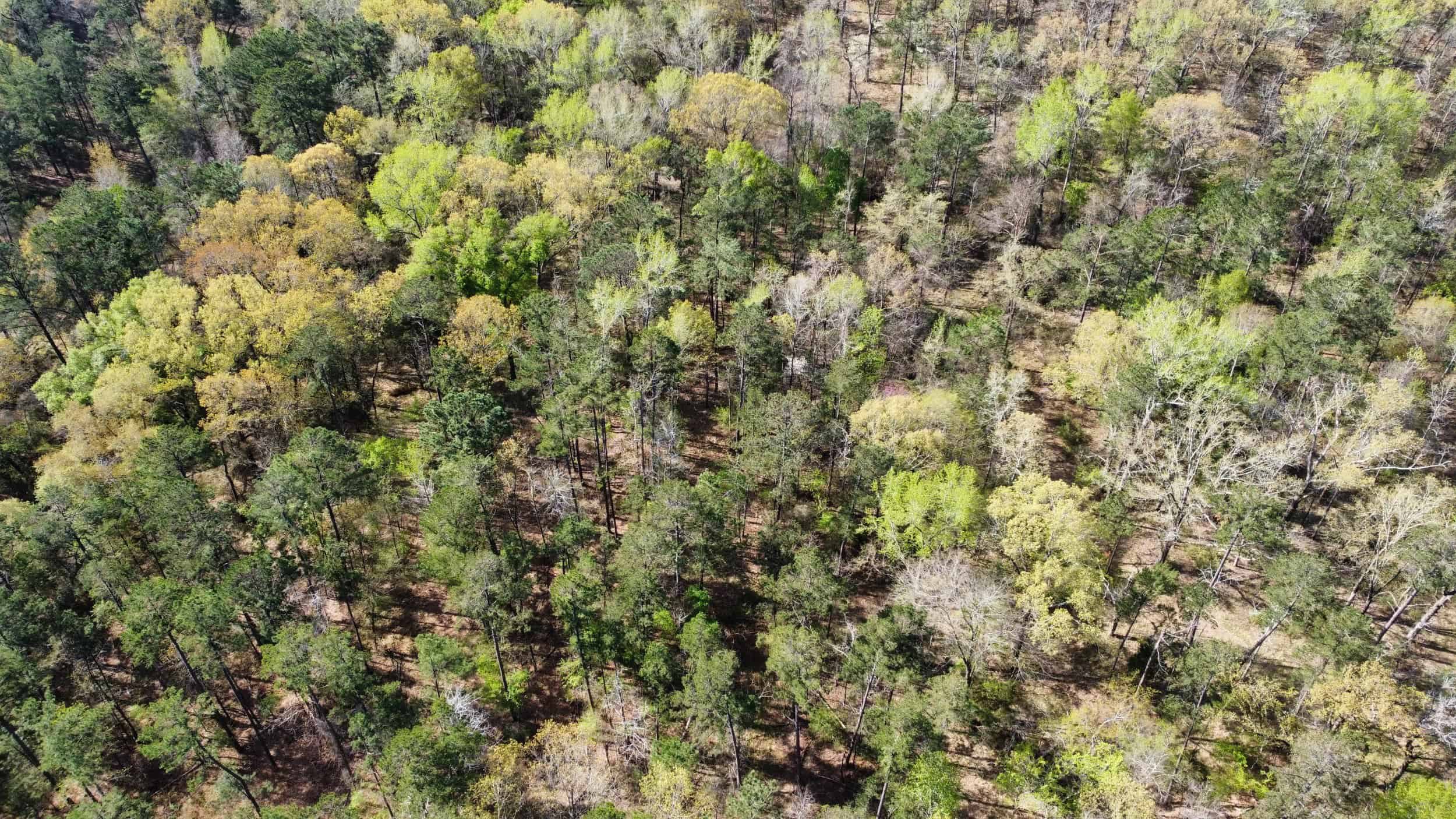 East Texas rural land for sale in Smith County