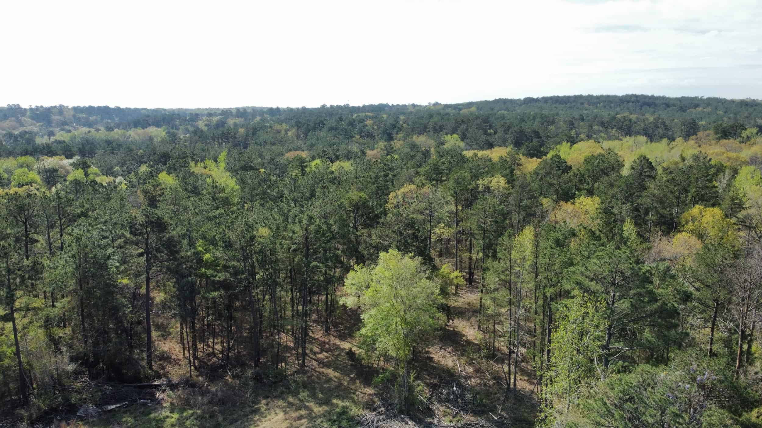 East Texas rural land for sale in Smith County