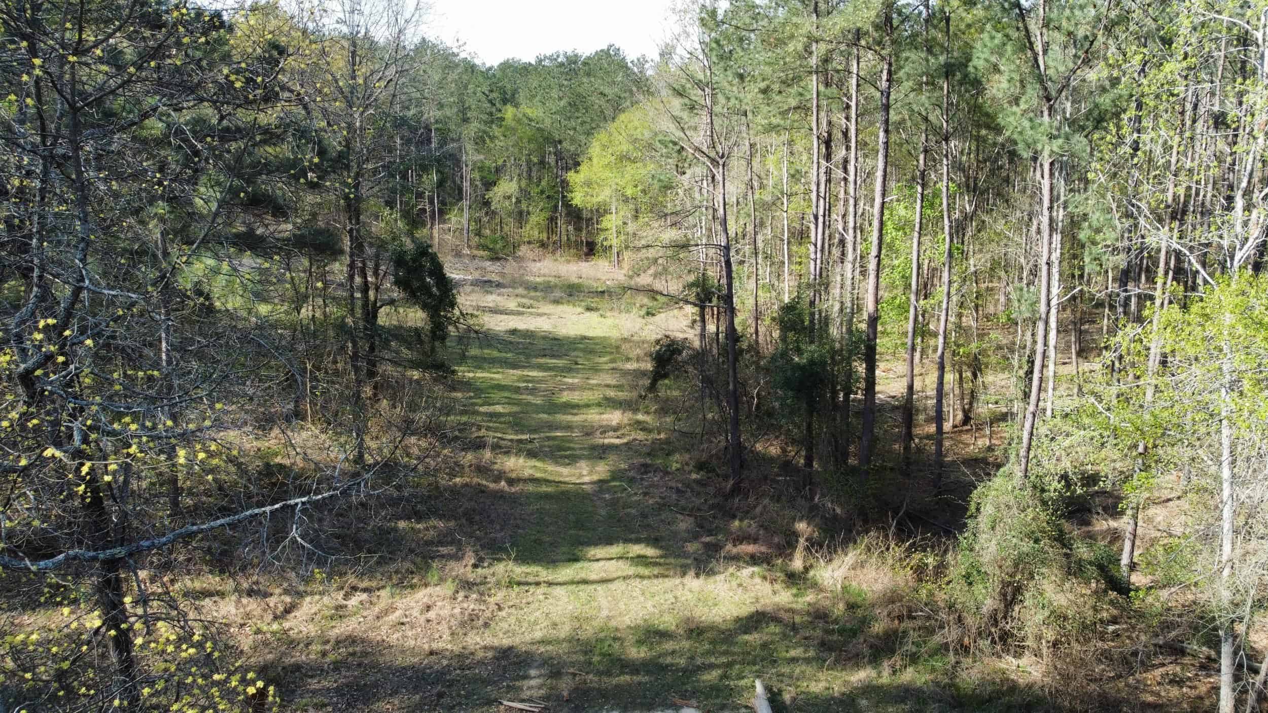 East Texas rural land for sale in Smith County