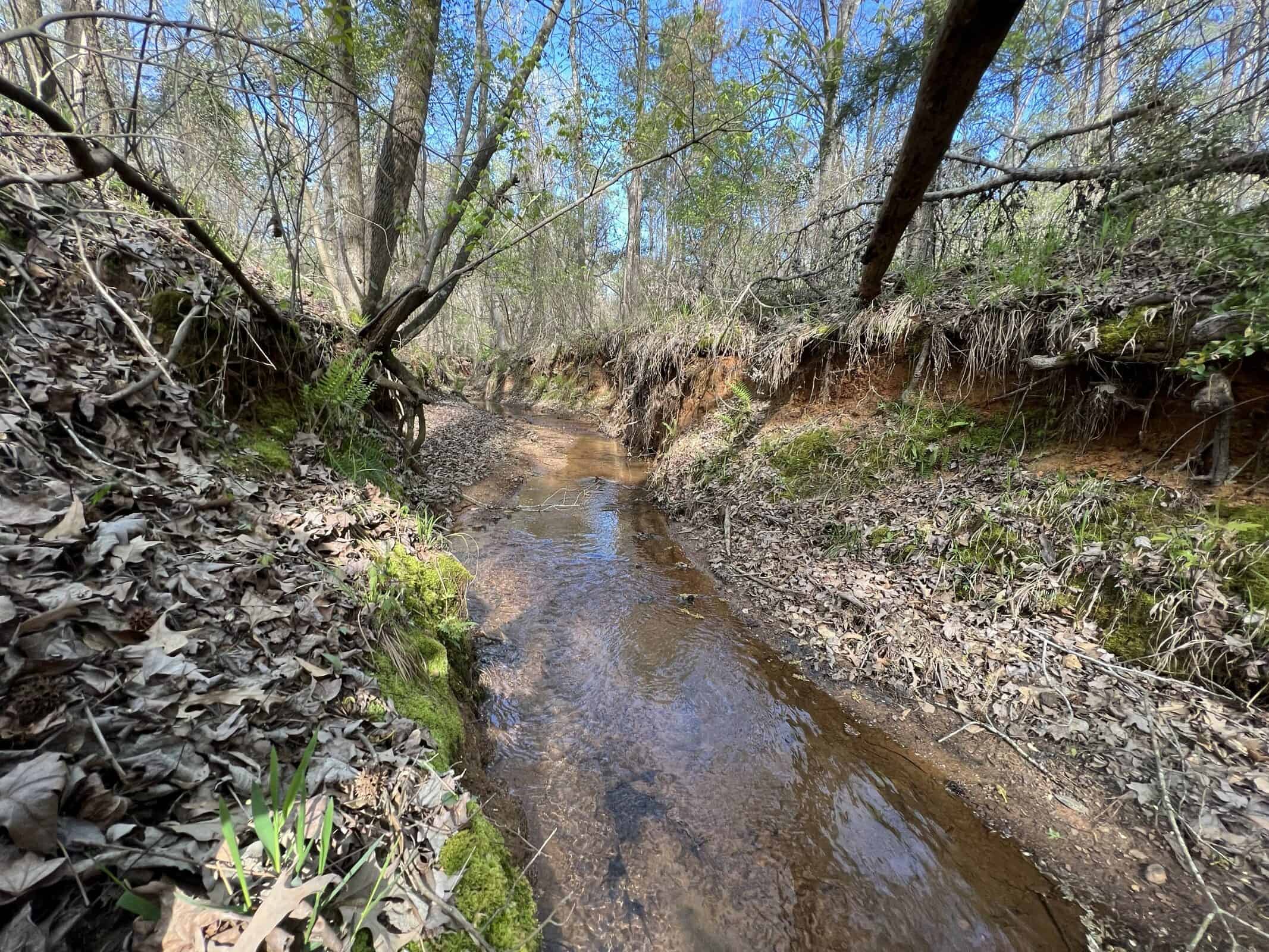 East Texas rural land for sale in Smith County