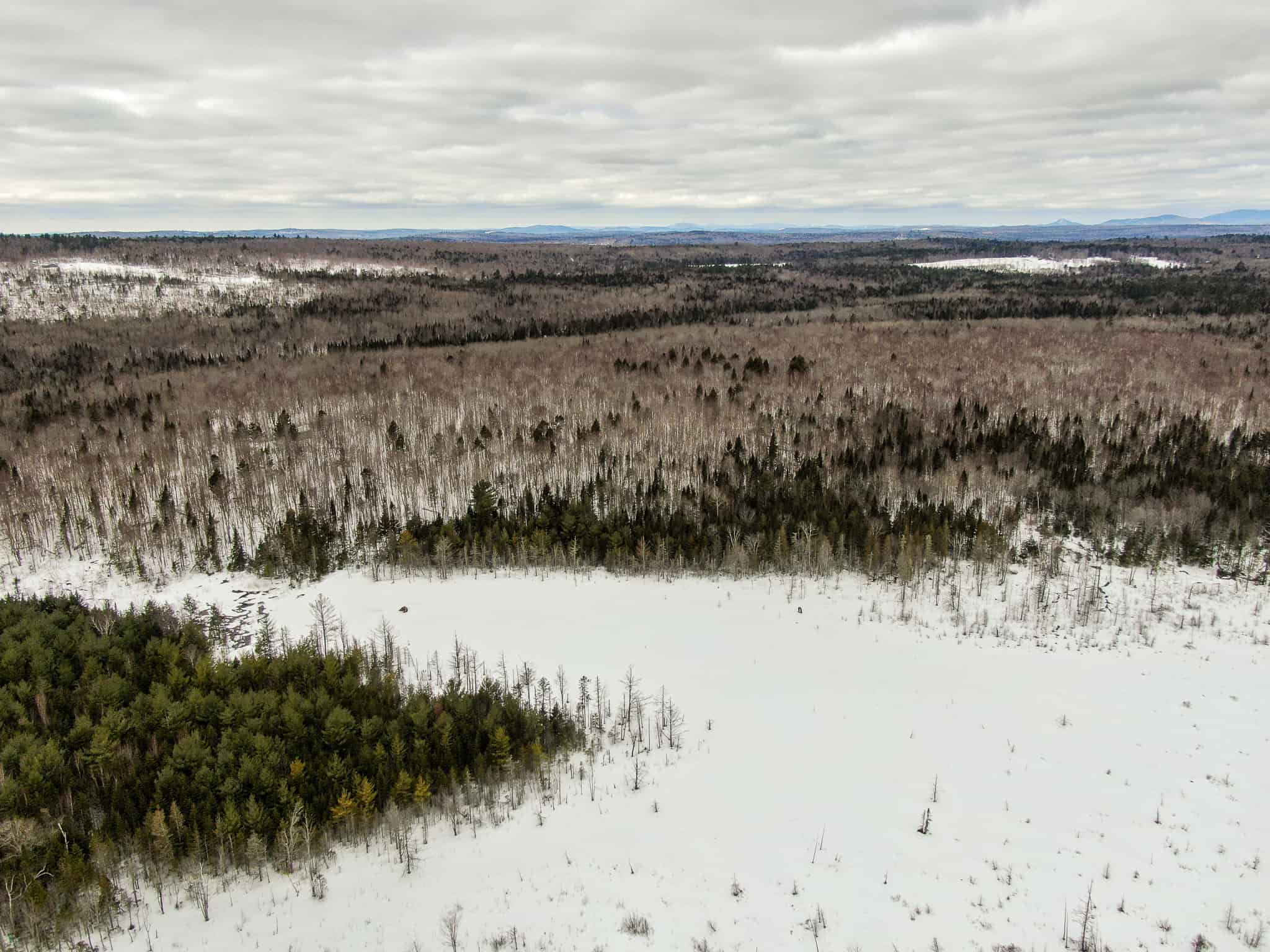 Off Grid Timber and Recreation Investment Land