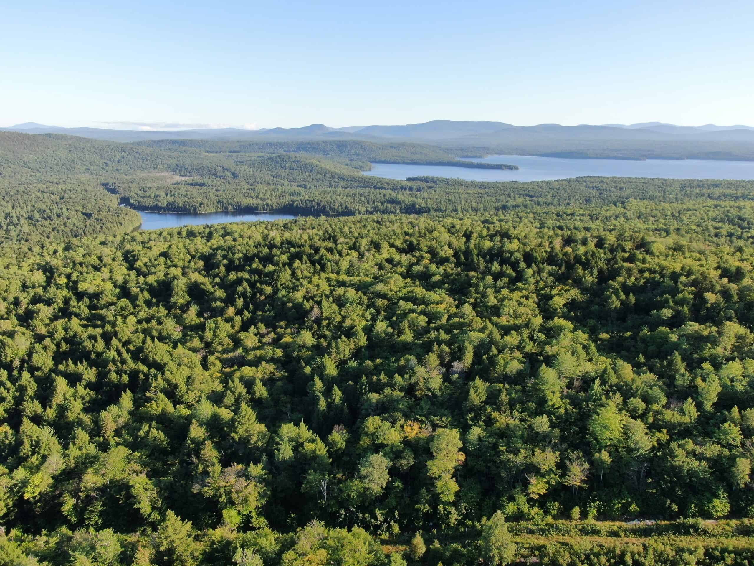 Mountain Timber and Hunting Land