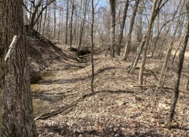 Executive Building Lot and Hunting Property