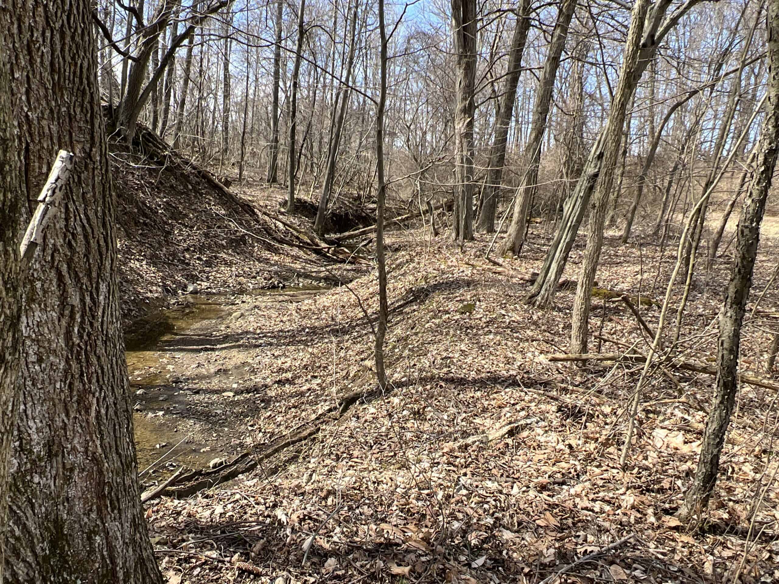 Executive Building Lot and Hunting Property