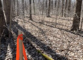 Hunting Retreat with Building Site