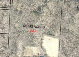 Heavily Wooded with Foodplot Hunting Acreage