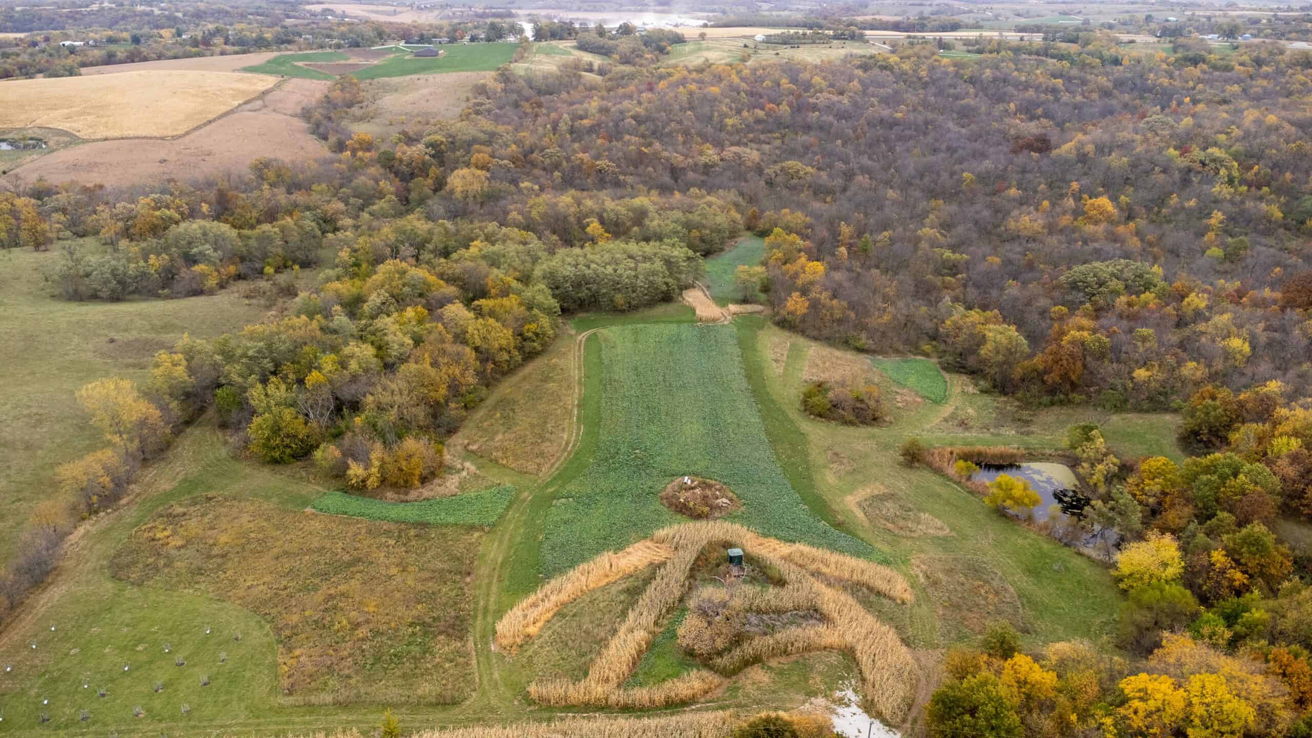 Marion County Recreational & Hunting Land for Sale