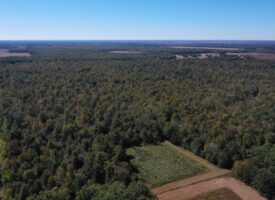 360+/- Acres High Fence Land for Sale North Louisiana