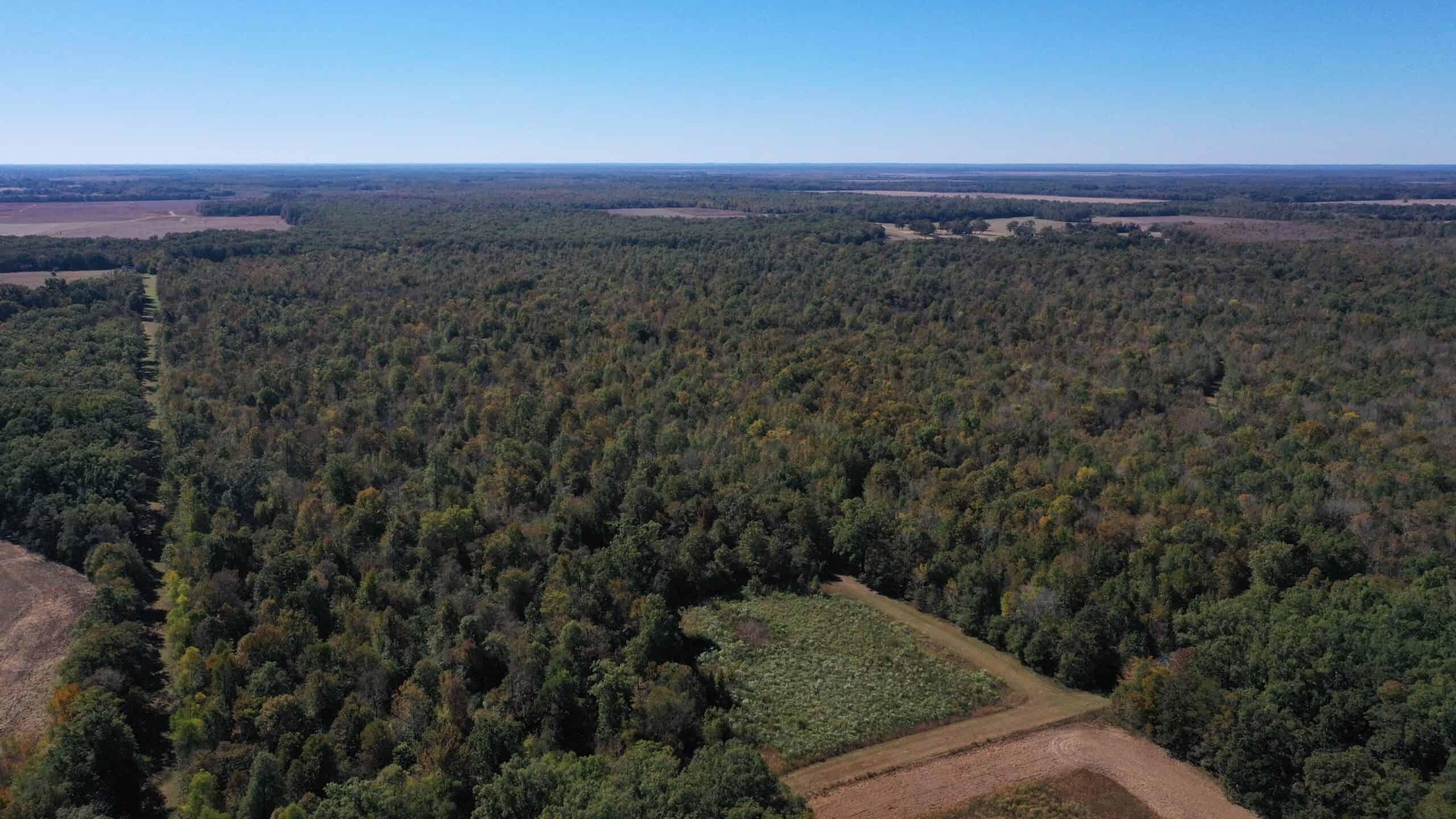 444+/- Acres High Fence Property for Sale North East LA