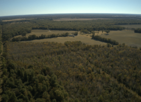 620 +/- Acres High Fence with Lodge for Sale Northeast LA