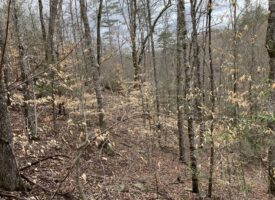 East Tennessee Hunting Land for Sale Tazewell TN Claiborne County