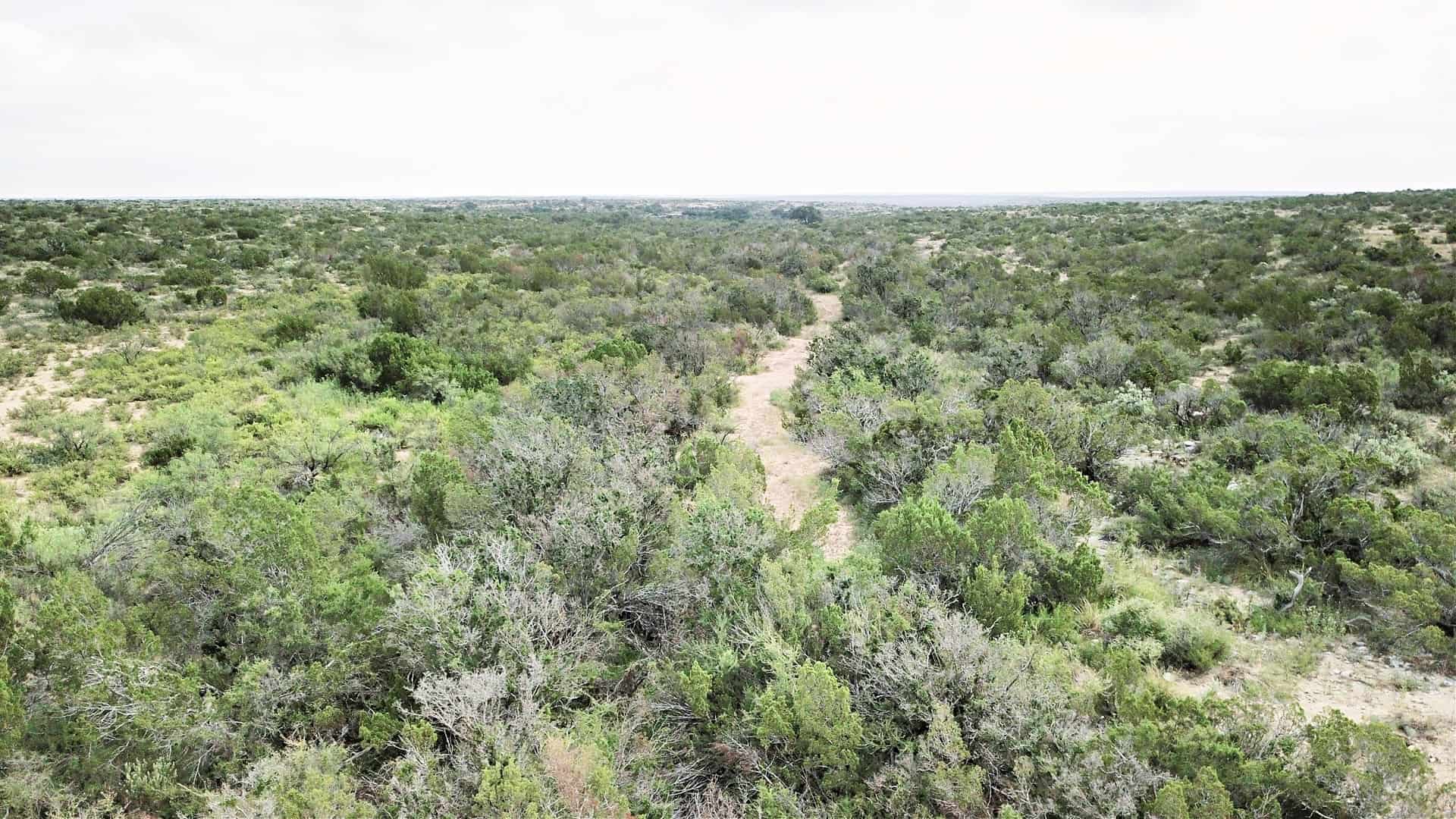 Large West Texas Hunting Ranch for Sale near Pandale, Texas