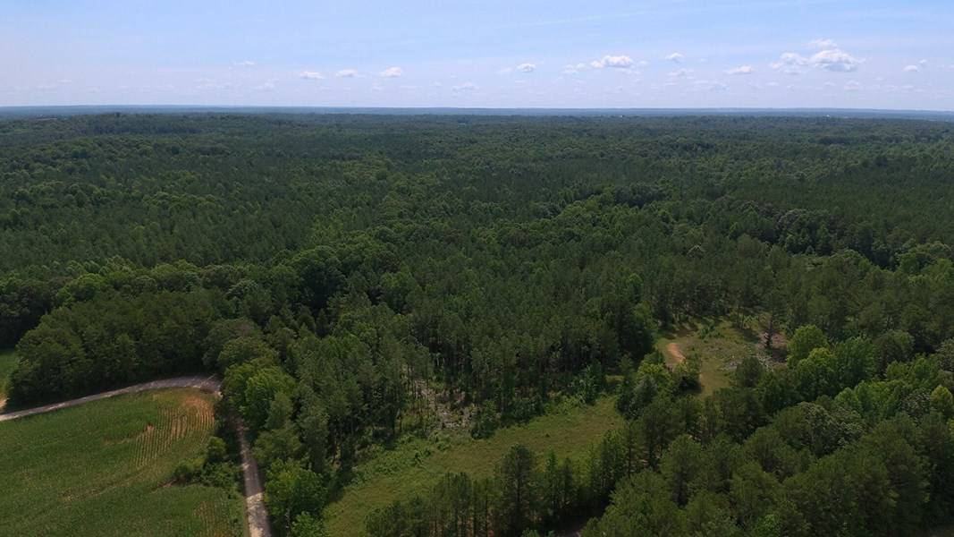 ACREAGE IN TN FOR SALE: WHITETAIL DEER & TURKEY HUNTING, WOODS, CREEKS, BUILDING SPOTS