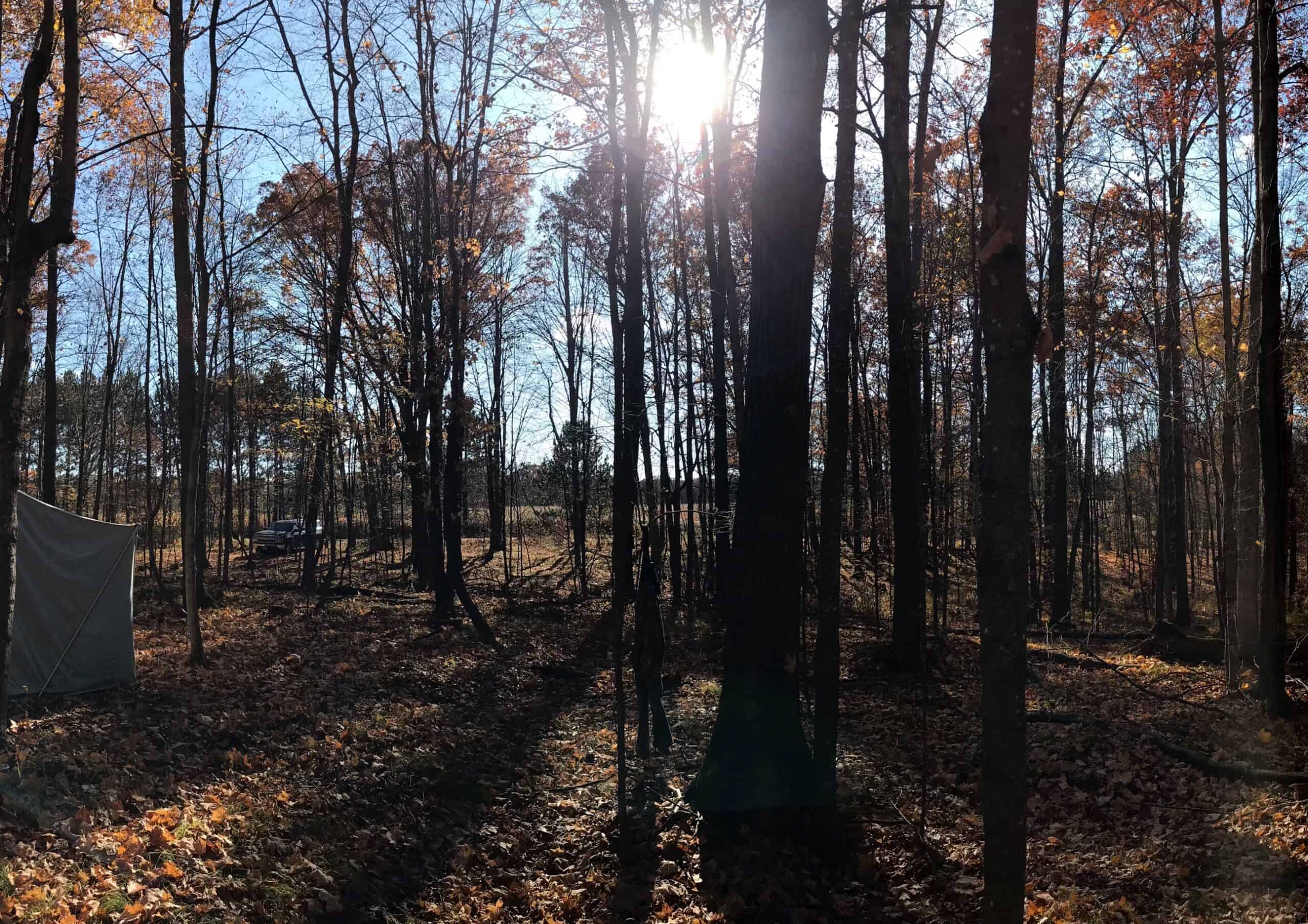 65 Acres Set Up Perfectly in Clark County!