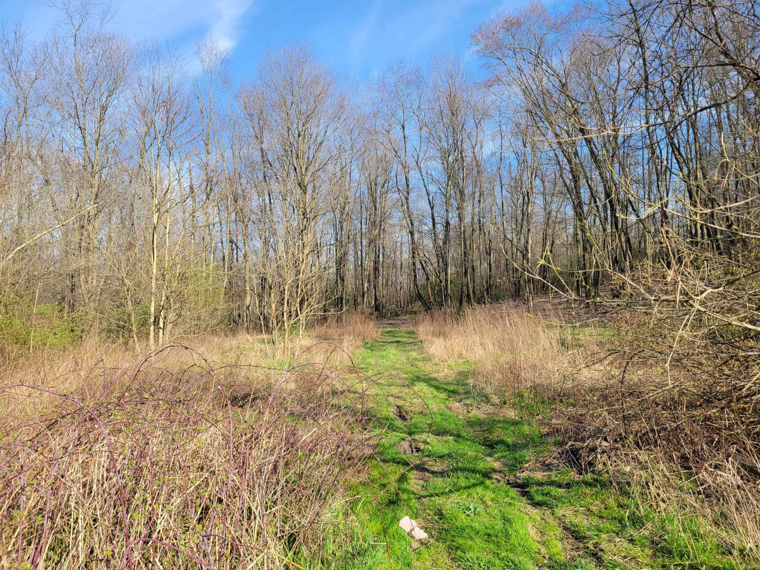 Columbiana County City Limits Recreational Tract