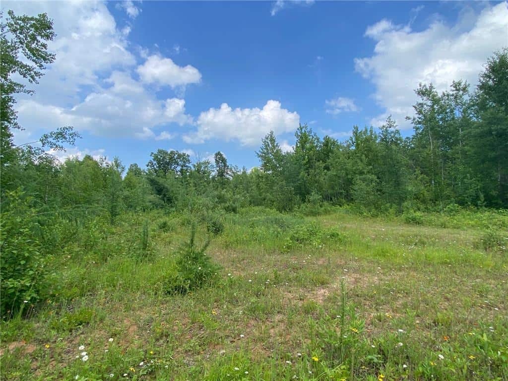 Hunting Land For Sale in Minnesota Hunting Properties for sale in