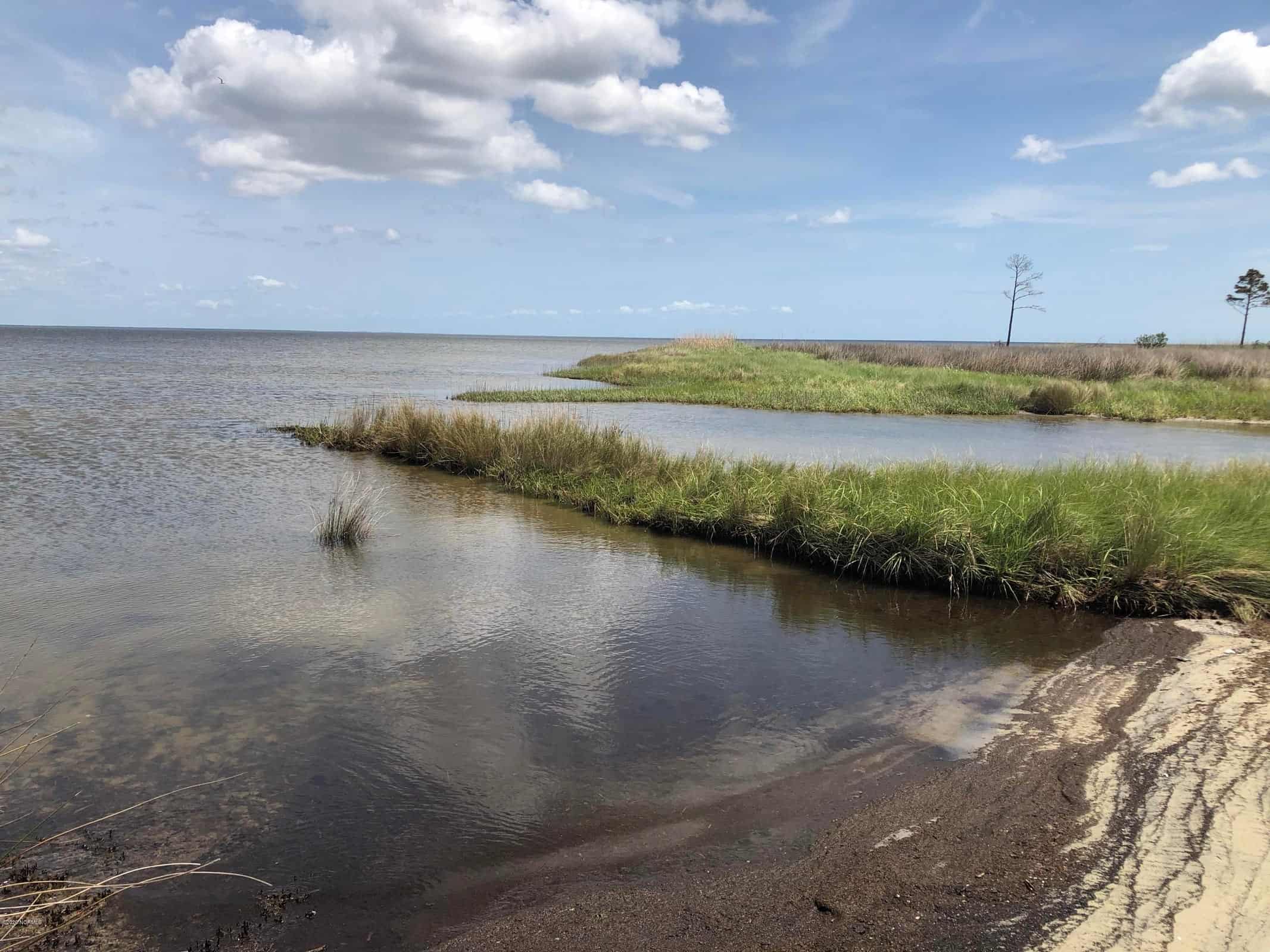 Great Hunting Tract in Pamlico County