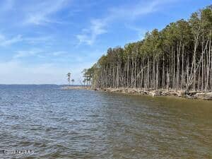 Great waterfront acerage for sale in Hyde County