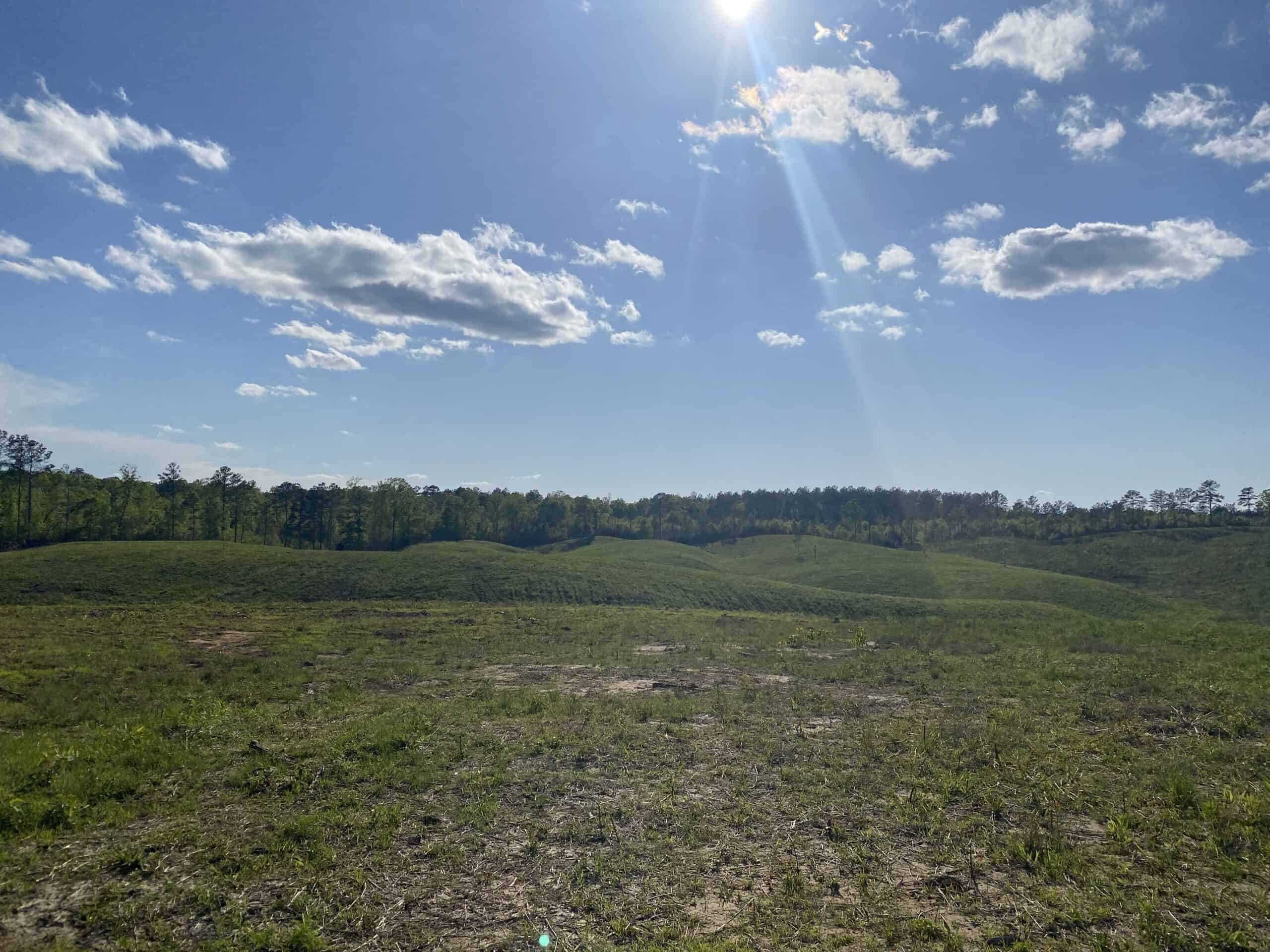 LAND FOR SALE IN TN, 26 ACRES+/-, OPEN LAND WHITETAIL DEER AND TURKEY HUNTING