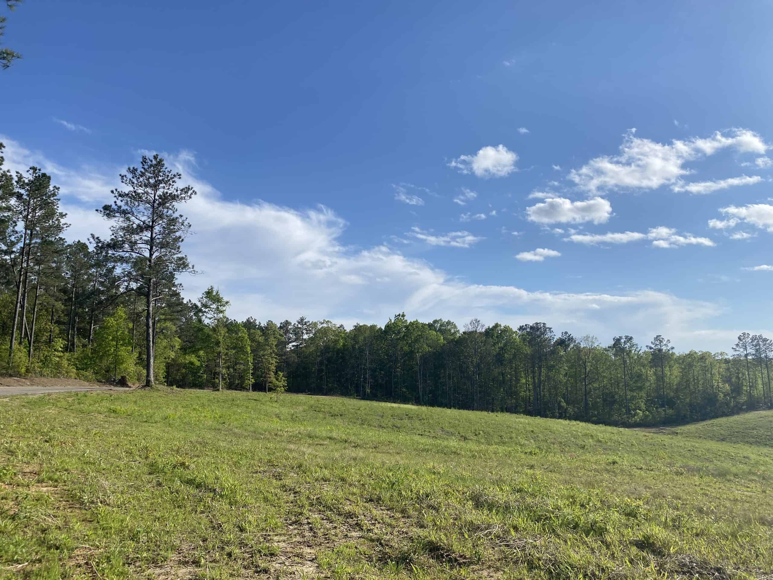 LAND FOR SALE IN TN, 26 ACRES+/-, OPEN LAND WHITETAIL DEER AND TURKEY HUNTING