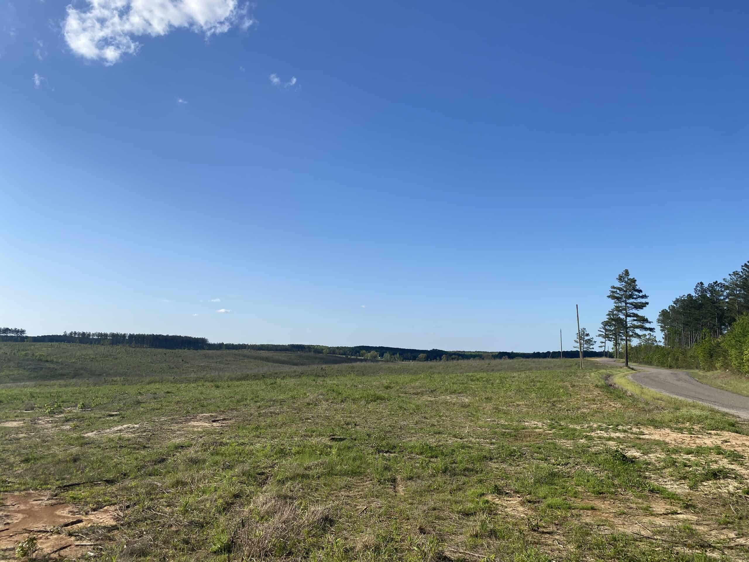 LAND FOR SALE IN TN, 26 ACRES+/-, OPEN LAND WHITETAIL DEER AND TURKEY HUNTING