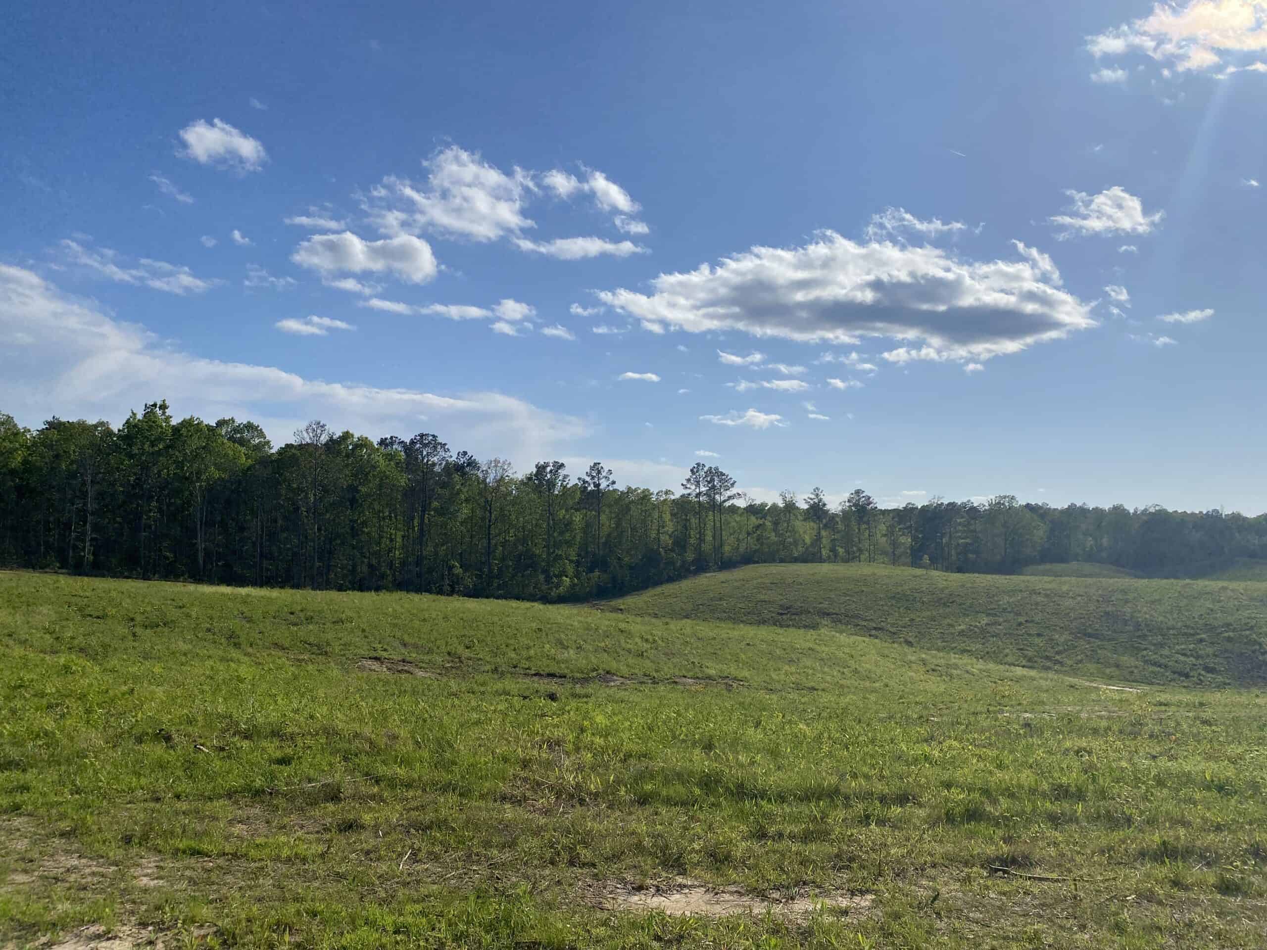 LAND FOR SALE IN TN, 26 ACRES+/-, OPEN LAND WHITETAIL DEER AND TURKEY HUNTING