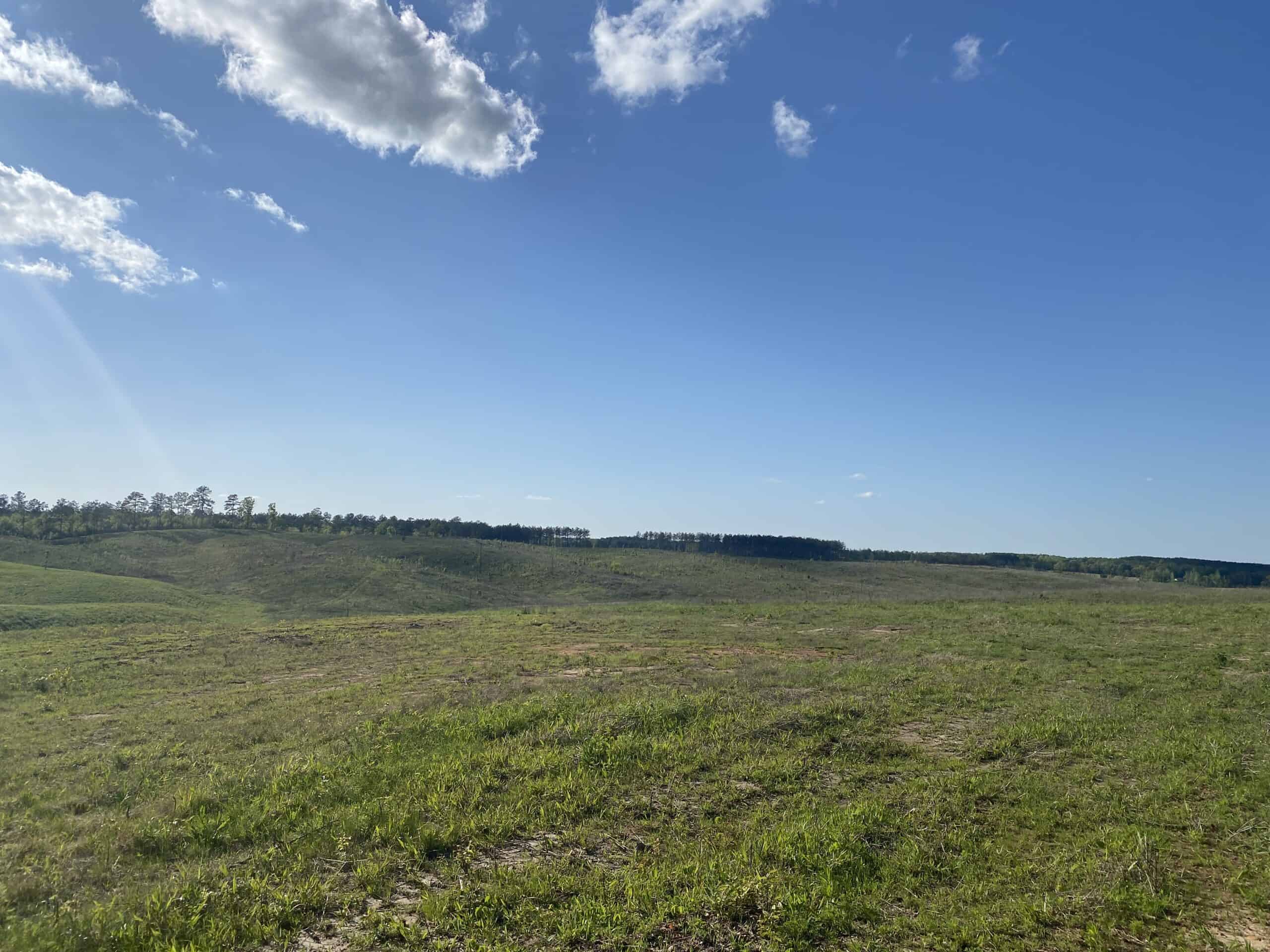 LAND FOR SALE IN TN, 26 ACRES+/-, OPEN LAND WHITETAIL DEER AND TURKEY HUNTING