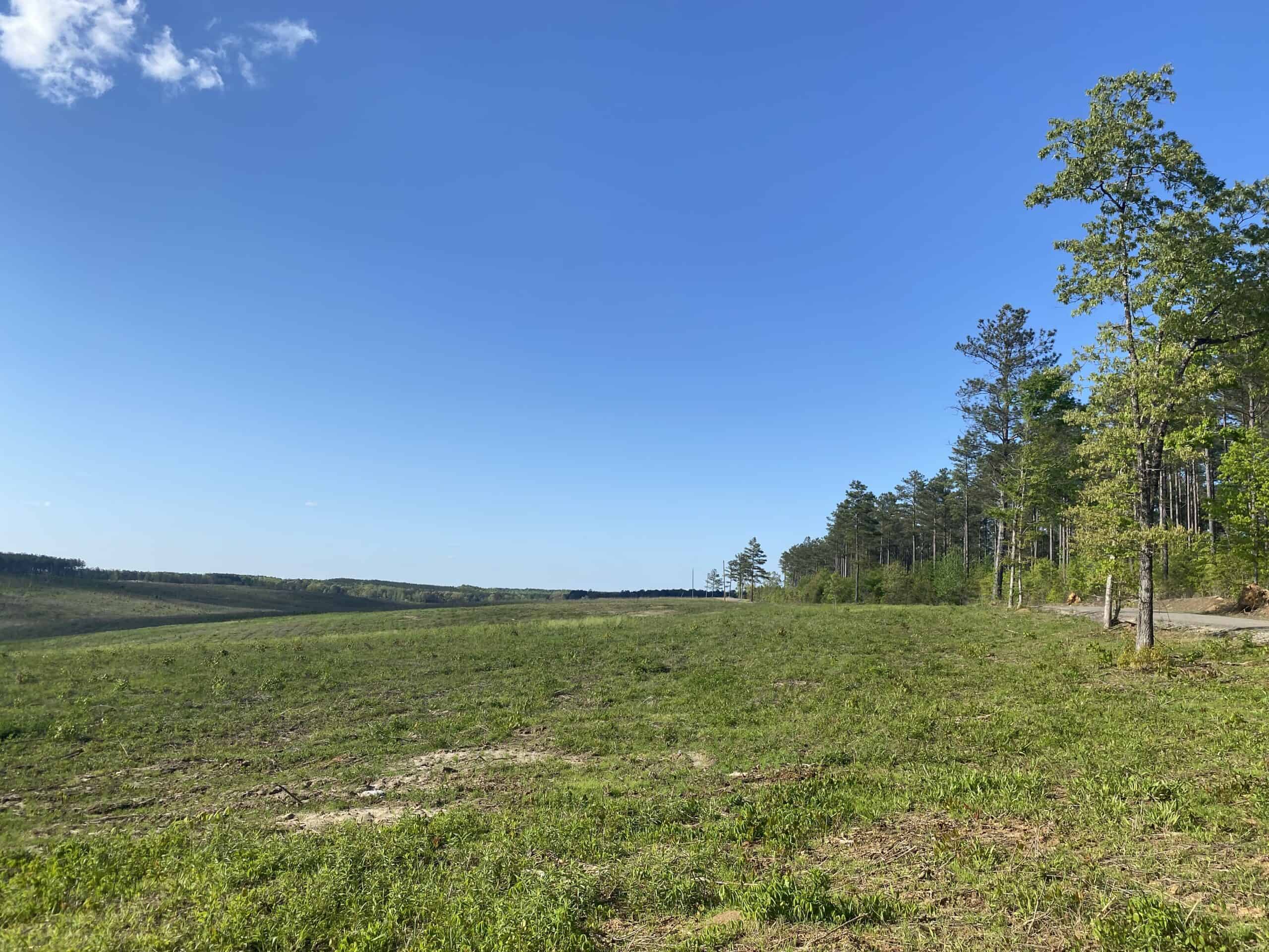 LAND FOR SALE IN TN, 26 ACRES+/-, OPEN LAND WHITETAIL DEER AND TURKEY HUNTING
