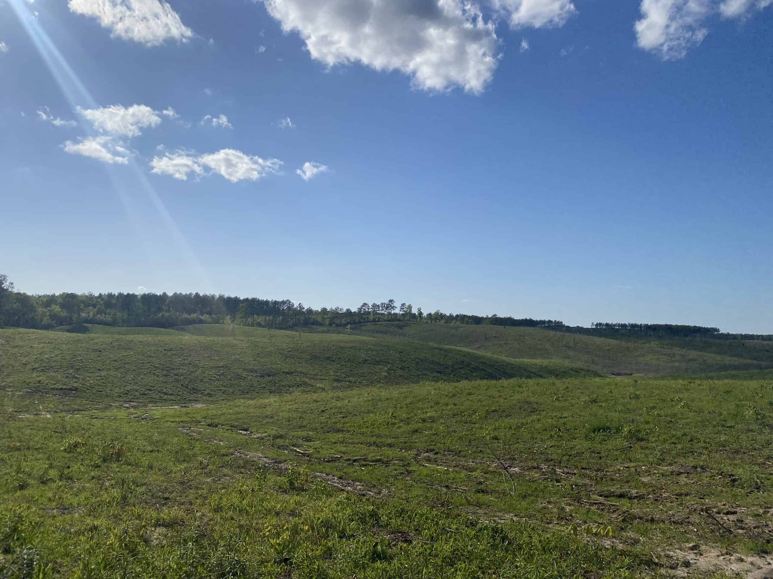 LAND FOR SALE IN TN, 26 ACRES+/-, OPEN LAND WHITETAIL DEER AND TURKEY HUNTING