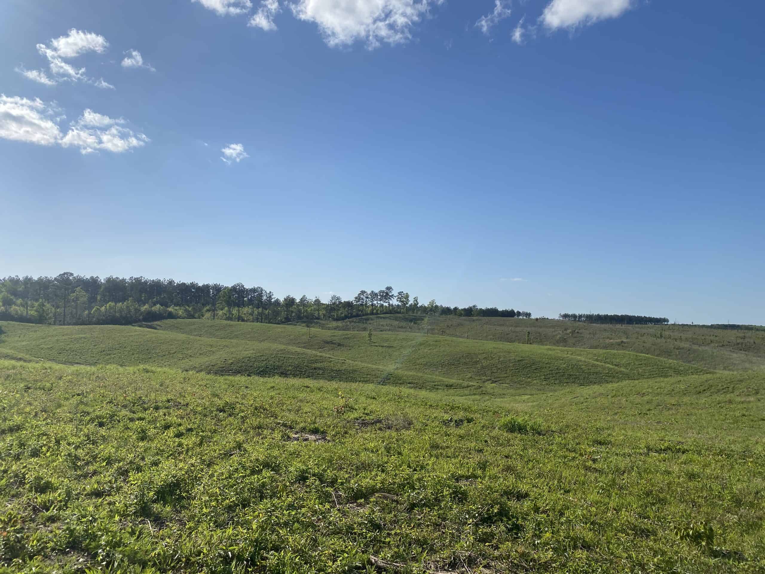 LAND FOR SALE IN TN, 26 ACRES+/-, OPEN LAND WHITETAIL DEER AND TURKEY HUNTING
