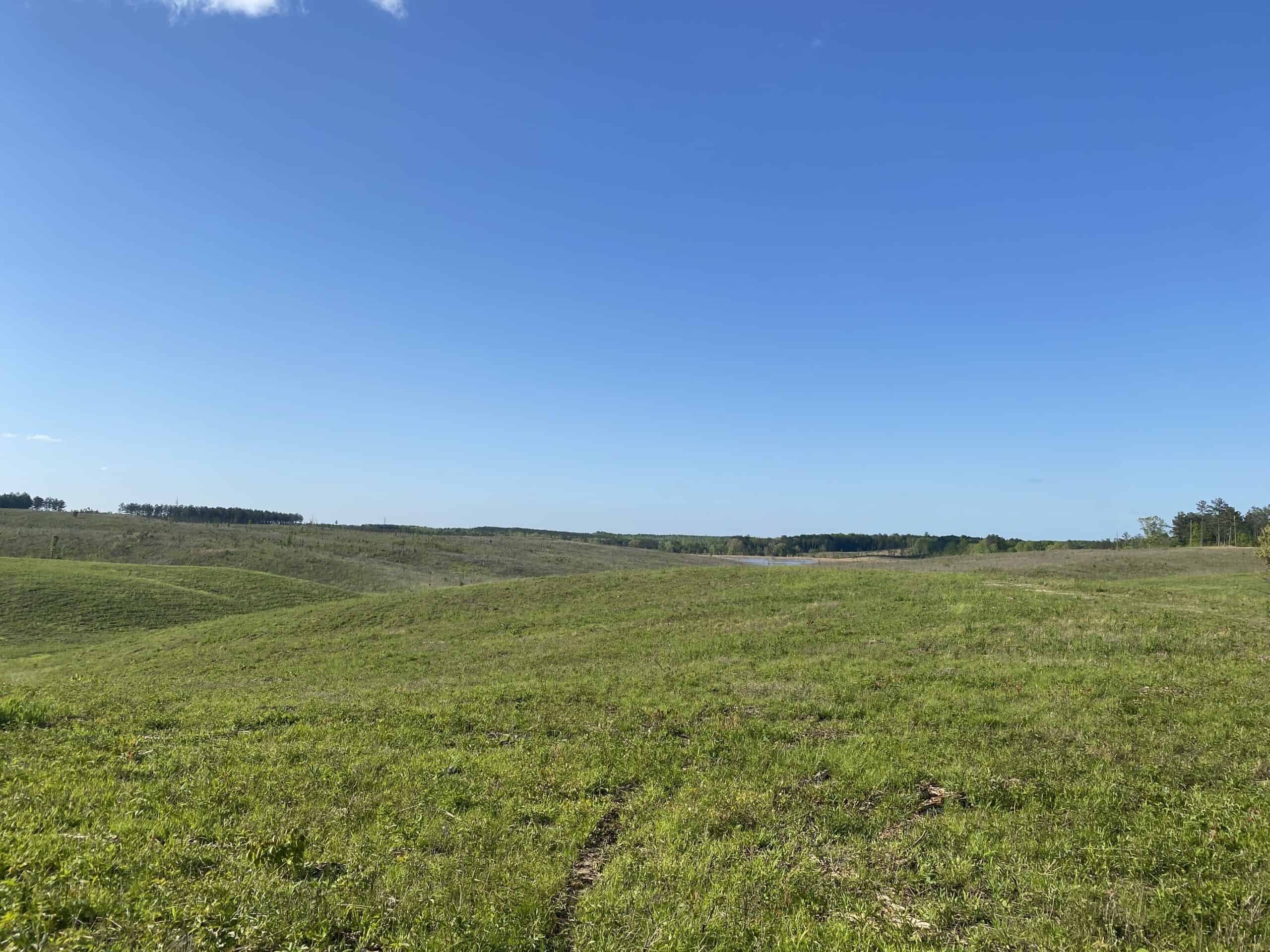 LAND FOR SALE IN TN, 26 ACRES+/-, OPEN LAND WHITETAIL DEER AND TURKEY HUNTING
