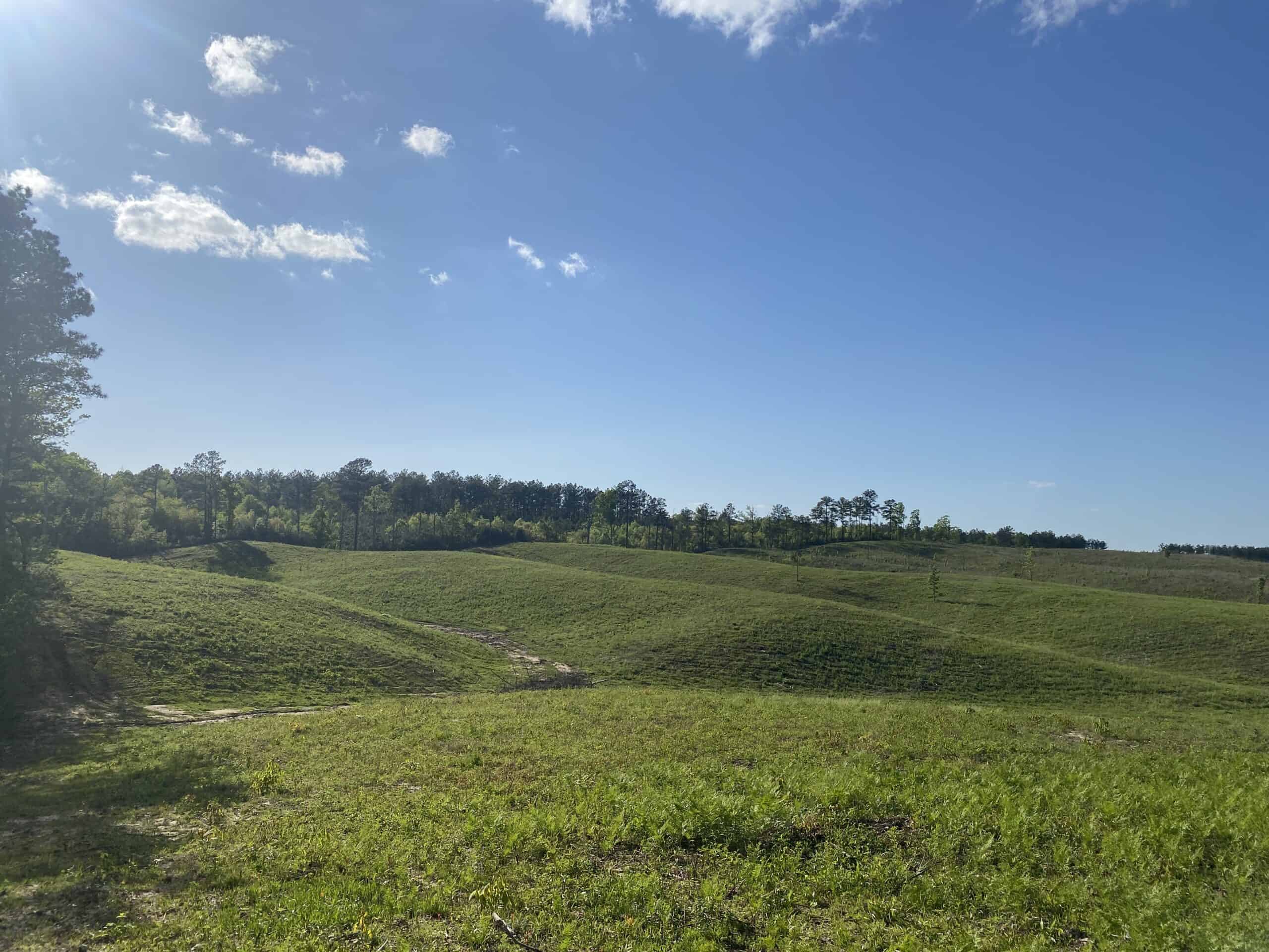LAND FOR SALE IN TN, 26 ACRES+/-, OPEN LAND WHITETAIL DEER AND TURKEY HUNTING