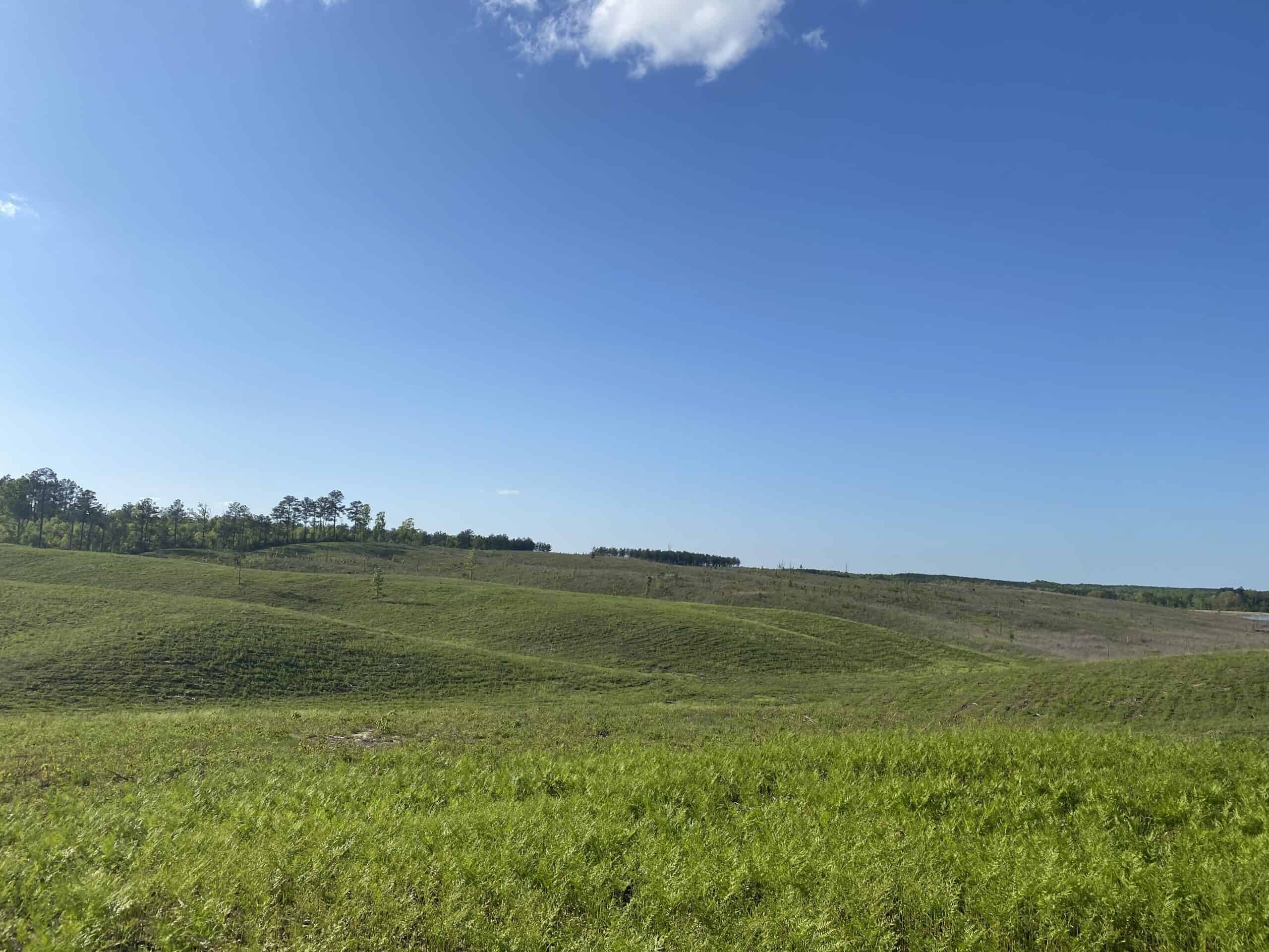 LAND FOR SALE IN TN, 26 ACRES+/-, OPEN LAND WHITETAIL DEER AND TURKEY HUNTING