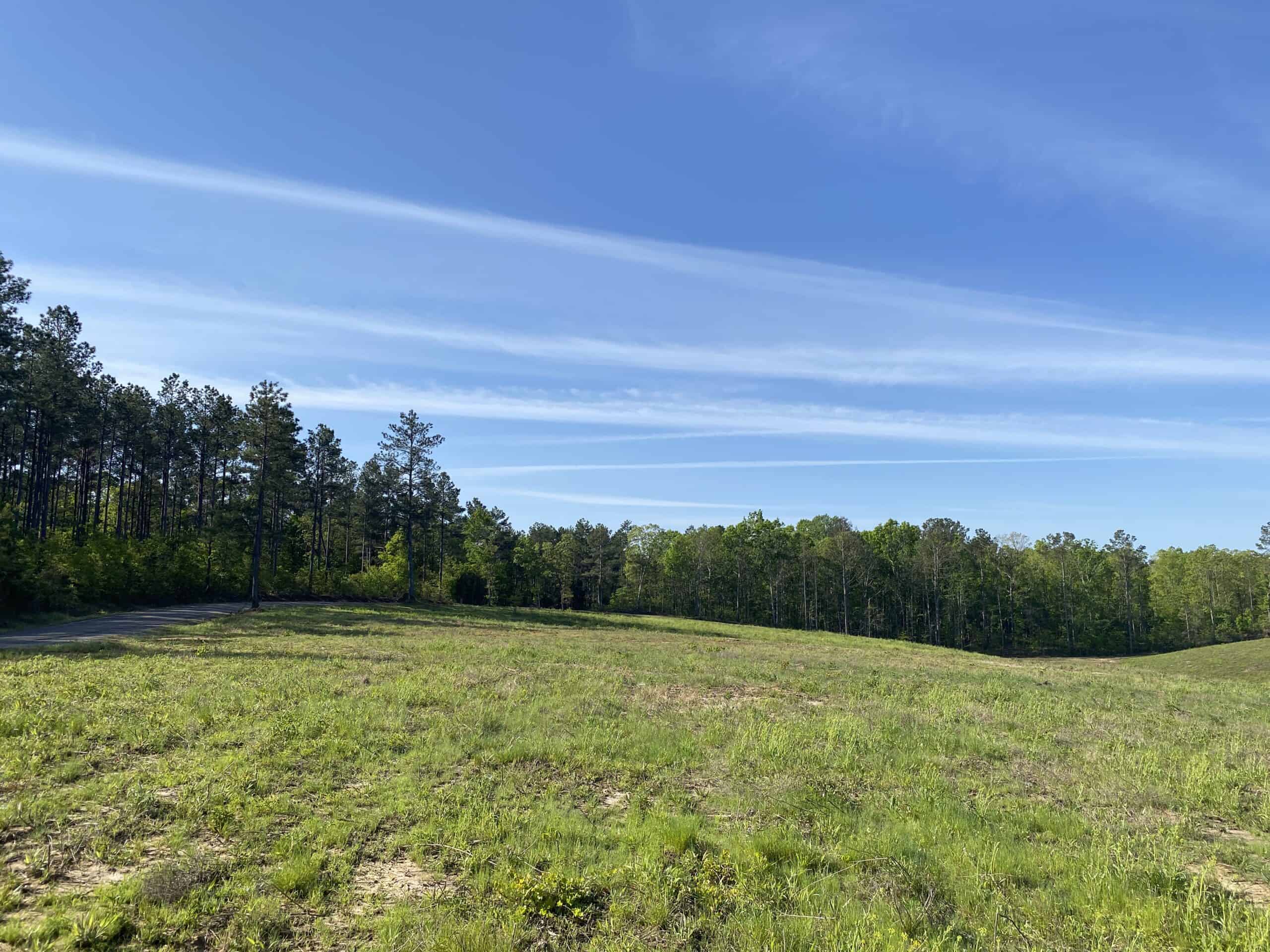 LAND FOR SALE IN TN, 26 ACRES+/-, OPEN LAND WHITETAIL DEER AND TURKEY HUNTING