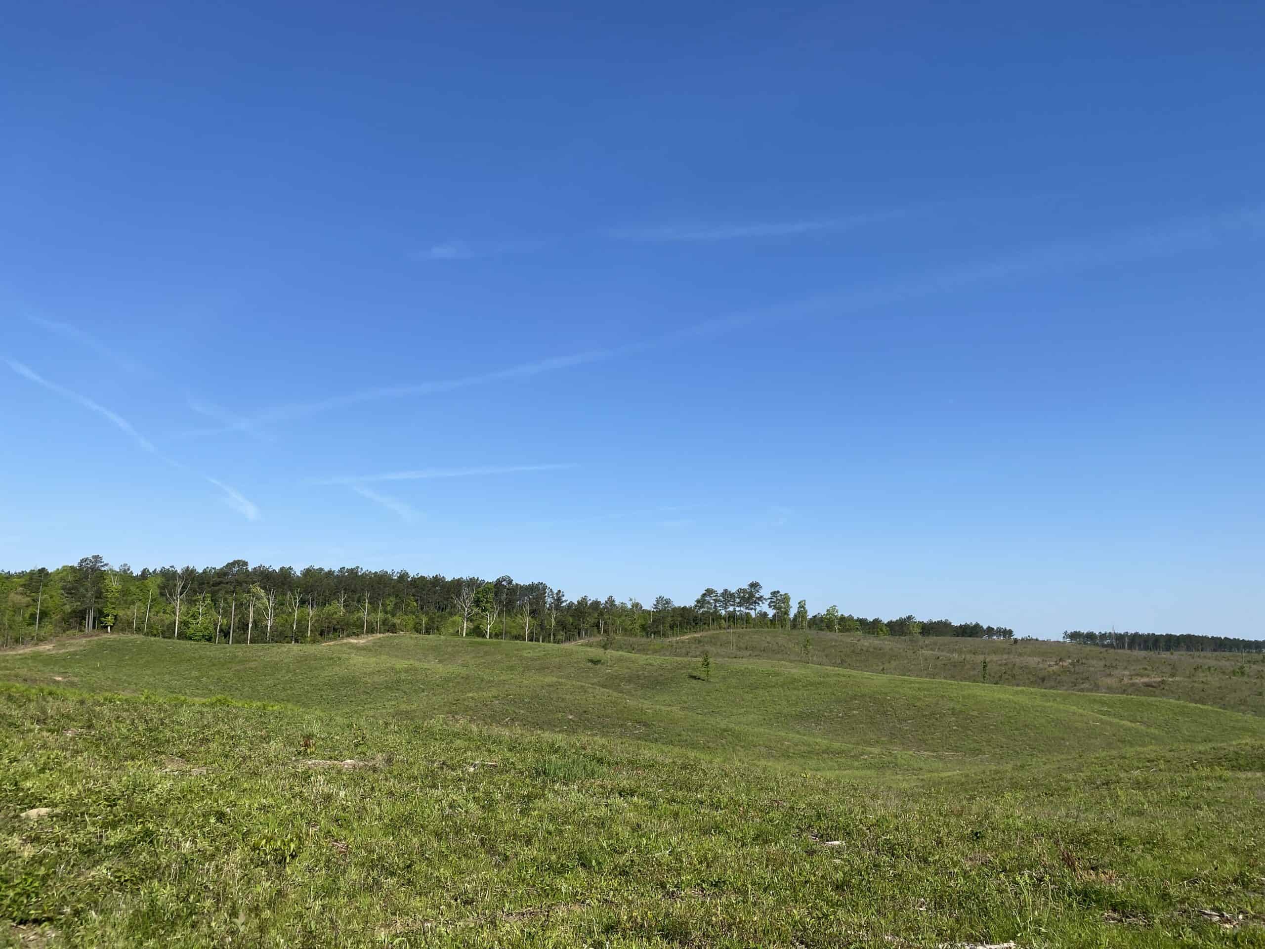 LAND FOR SALE IN TN, 26 ACRES+/-, OPEN LAND WHITETAIL DEER AND TURKEY HUNTING