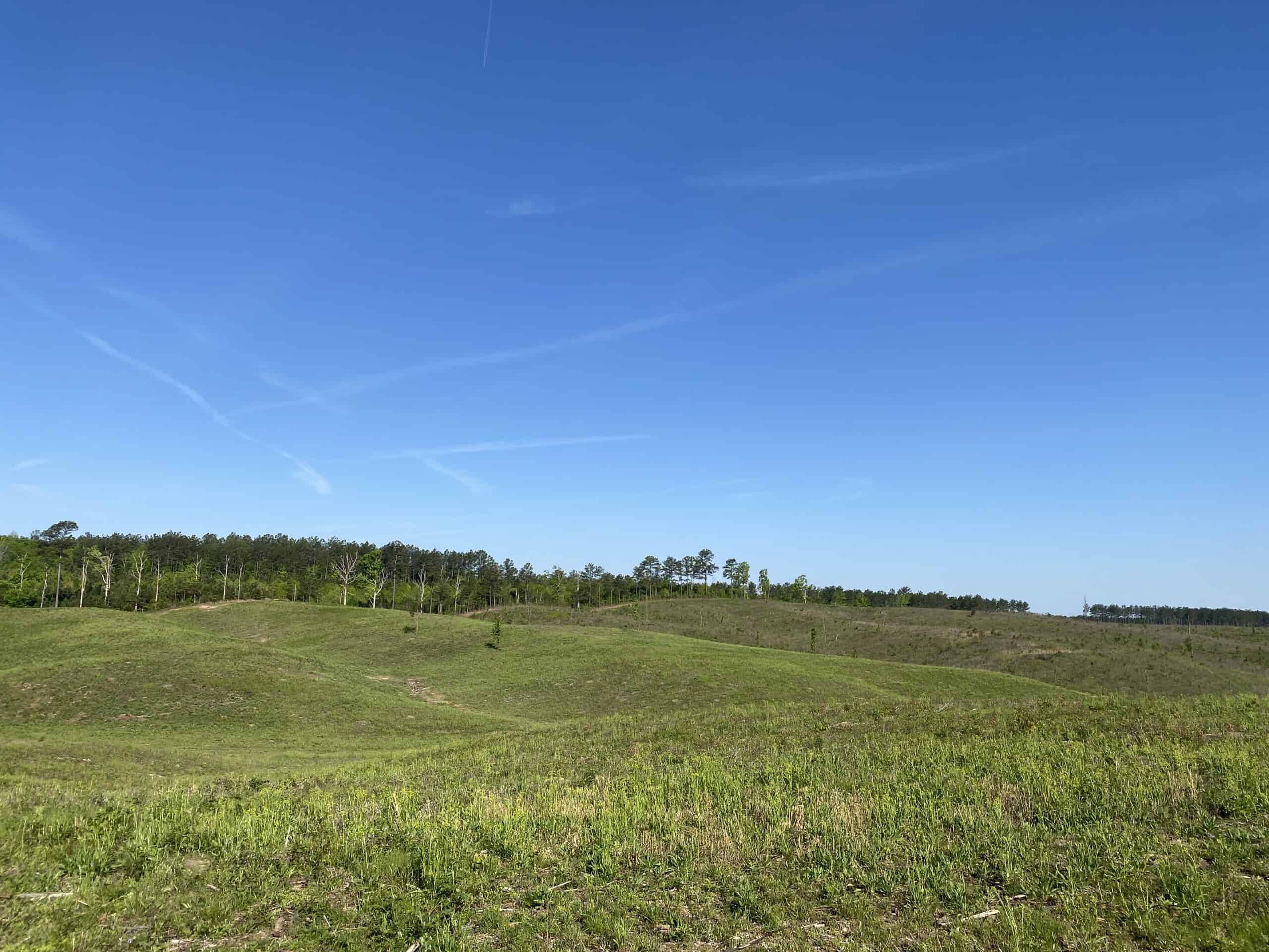 LAND FOR SALE IN TN, 26 ACRES+/-, OPEN LAND WHITETAIL DEER AND TURKEY HUNTING