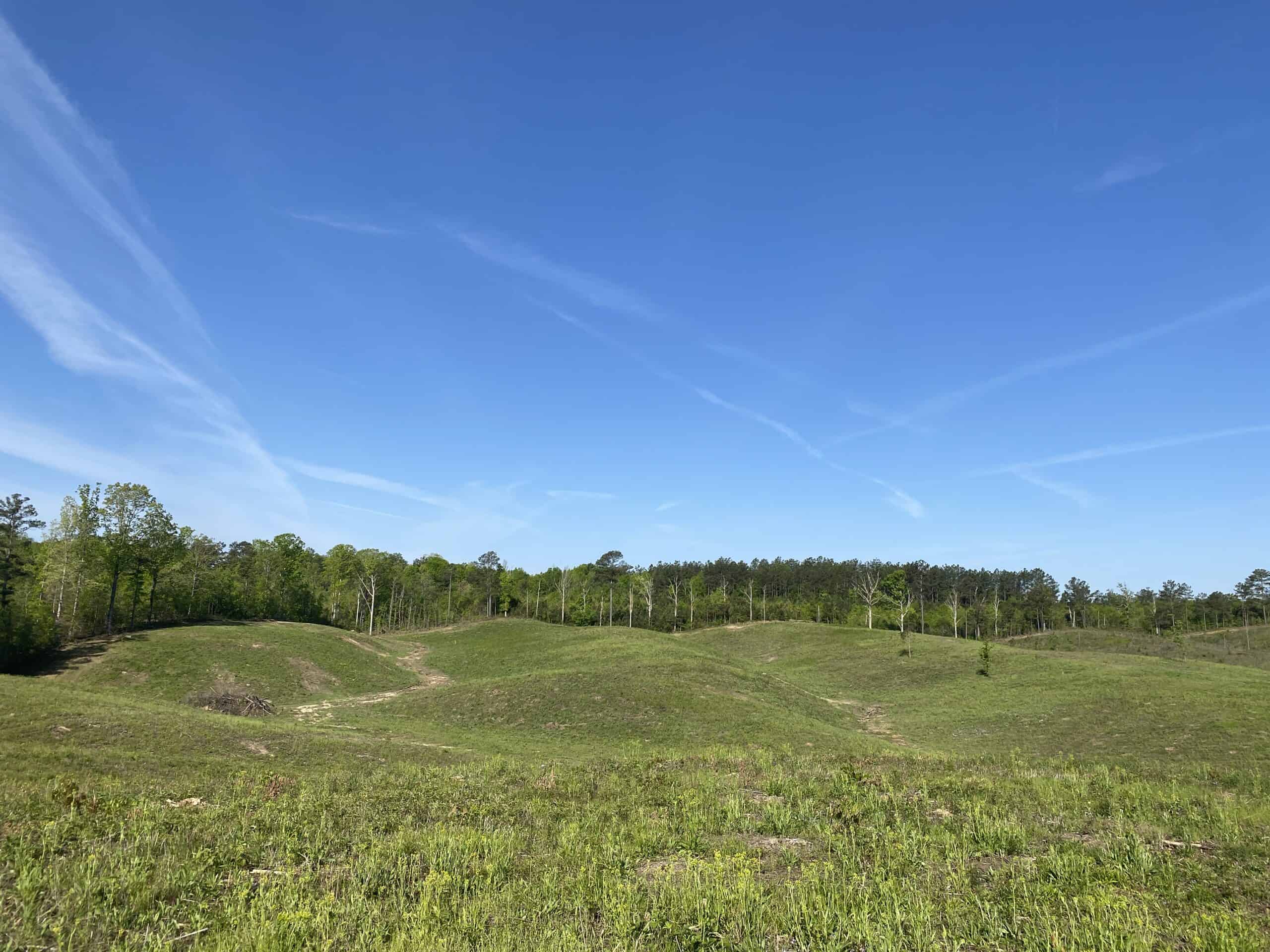 LAND FOR SALE IN TN, 26 ACRES+/-, OPEN LAND WHITETAIL DEER AND TURKEY HUNTING