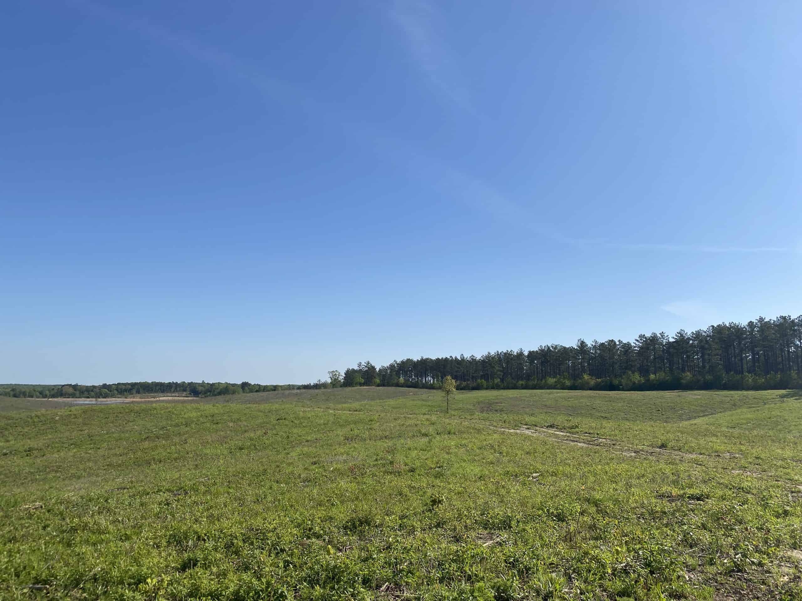 LAND FOR SALE IN TN, 26 ACRES+/-, OPEN LAND WHITETAIL DEER AND TURKEY HUNTING