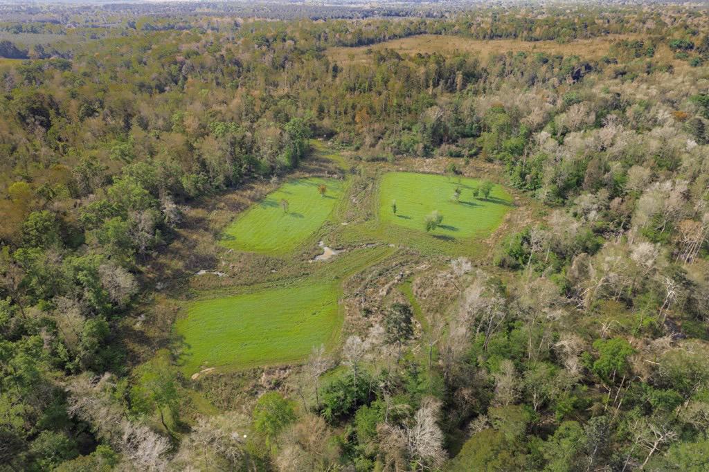 1250 Acre Timberland Lodge on the Tickfaw River South MS