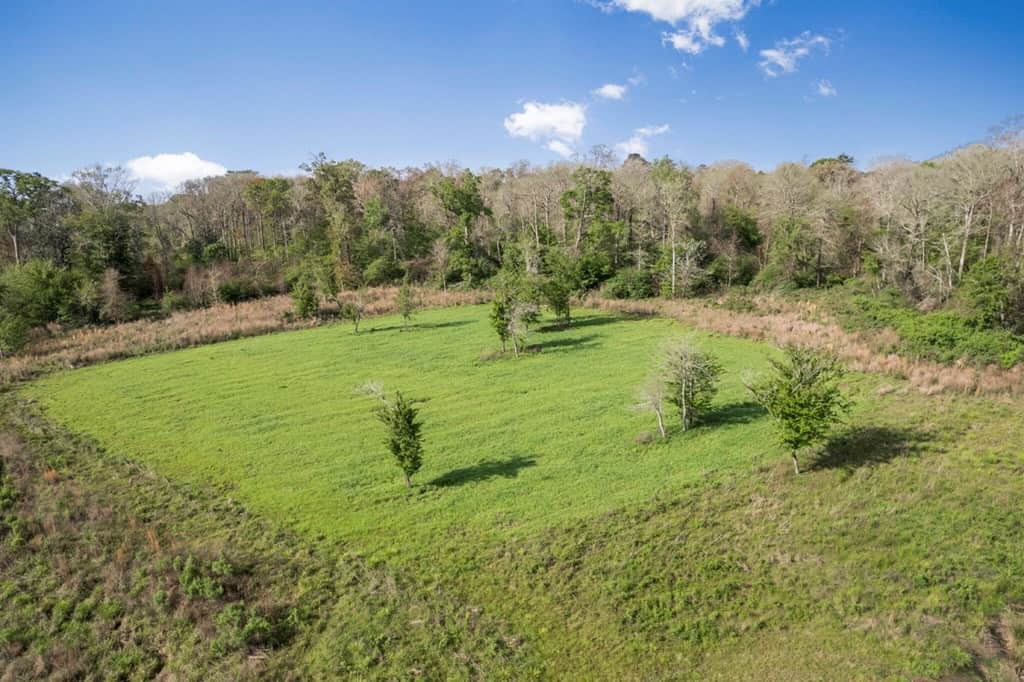 1250 Acre Timberland Lodge on the Tickfaw River South MS