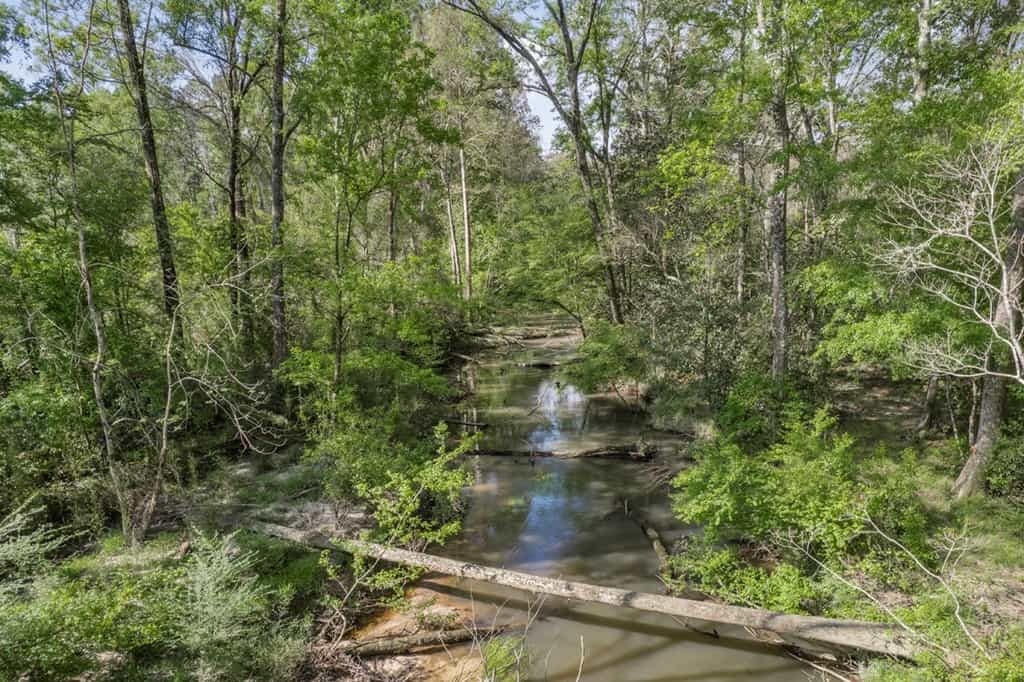 1250 Acre Timberland Lodge on the Tickfaw River South MS