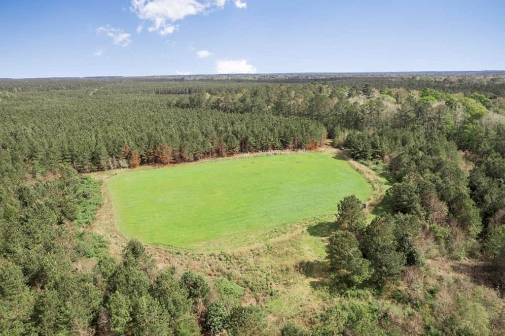 1250 Acre Timberland Lodge on the Tickfaw River South MS