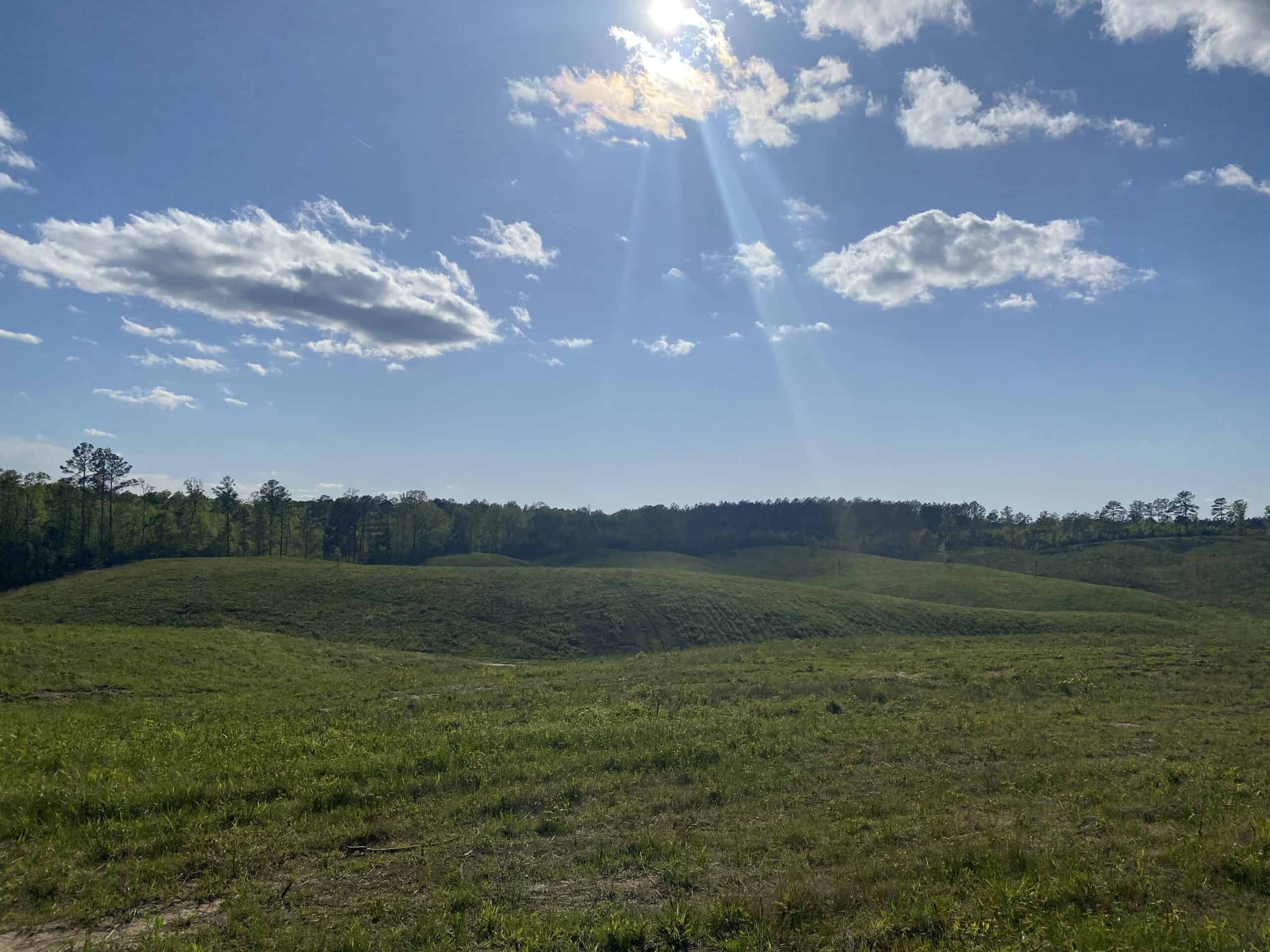 LAND FOR SALE IN TN, 26 ACRES+/-, OPEN LAND WHITETAIL DEER AND TURKEY HUNTING