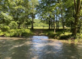 HUNTING PROPERTY FOR SALE IN TN, LARGE ROCK BOTTOM CREEK, MATURE HARDWOOD TIMBER