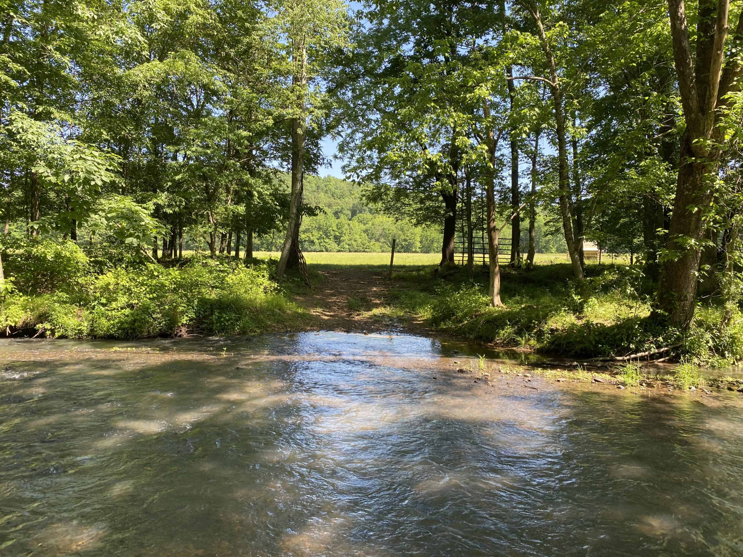 HUNTING PROPERTY FOR SALE IN TN, LARGE ROCK BOTTOM CREEK, MATURE HARDWOOD TIMBER