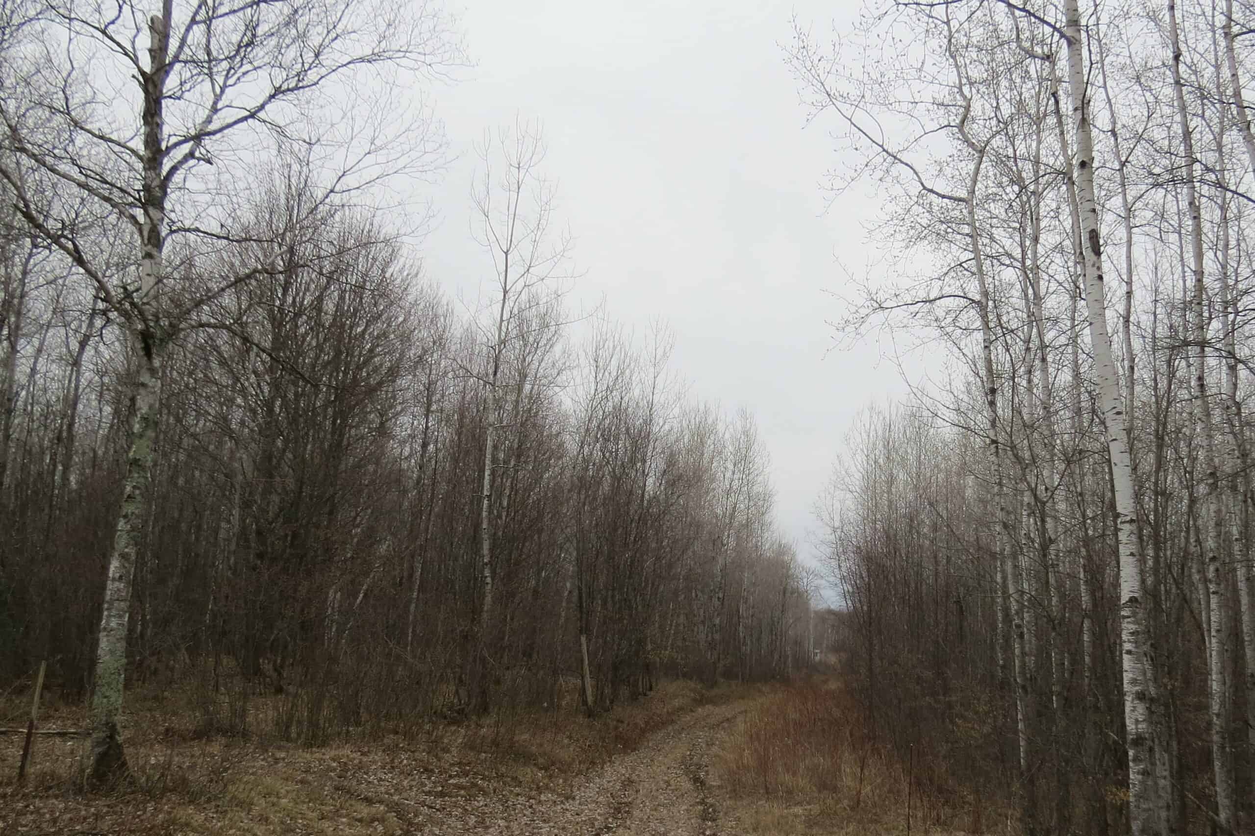 300+ ACRES OF HUNTING LAND FOR SALE IN PINE COUNTY MN