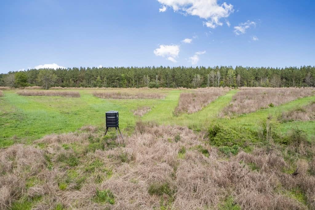 1250 Acre Timberland Lodge on the Tickfaw River South MS