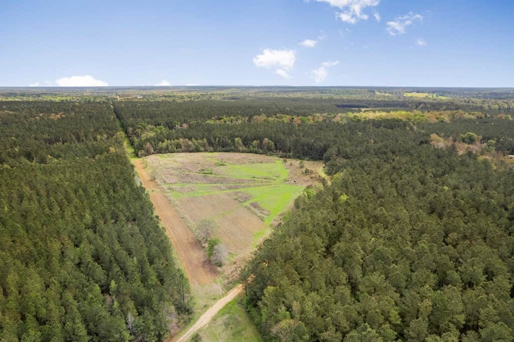 1250 Acre Timberland Lodge on the Tickfaw River South MS
